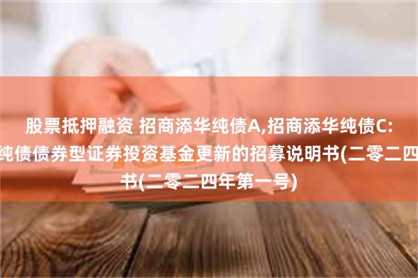 股票抵押融资 招商添华纯债A,招商添华纯债C: 招商添华纯债债券型证券投资基金更新的招募说明书(二零二四年第一号)