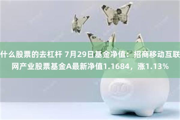 什么股票的去杠杆 7月29日基金净值：招商移动互联网产业股票基金A最新净值1.1684，涨1.13%