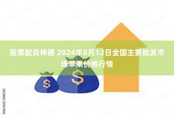 股票配资神器 2024年8月12日全国主要批发市场苹果价格行情