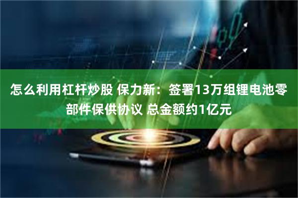 怎么利用杠杆炒股 保力新：签署13万组锂电池零部件保供协议 总金额约1亿元