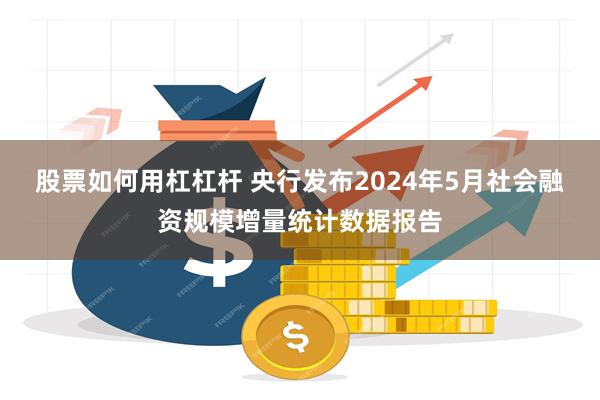 股票如何用杠杠杆 央行发布2024年5月社会融资规模增量统计数据报告