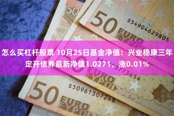 怎么买杠杆股票 10月25日基金净值：兴业稳康三年定开债券最新净值1.0271，涨0.01%