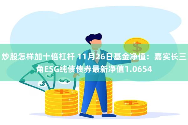 炒股怎样加十倍杠杆 11月26日基金净值：嘉实长三角ESG纯债债券最新净值1.0654